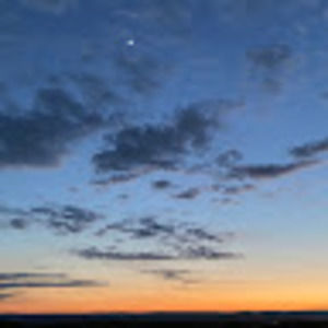 Meet your Posher, Brylee